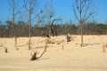 2014 06 13 Oleron (212)